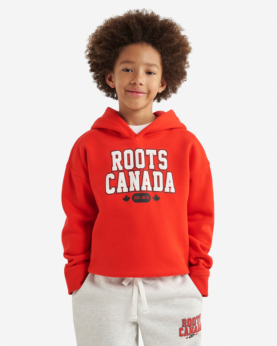 barn northern roots hoodie