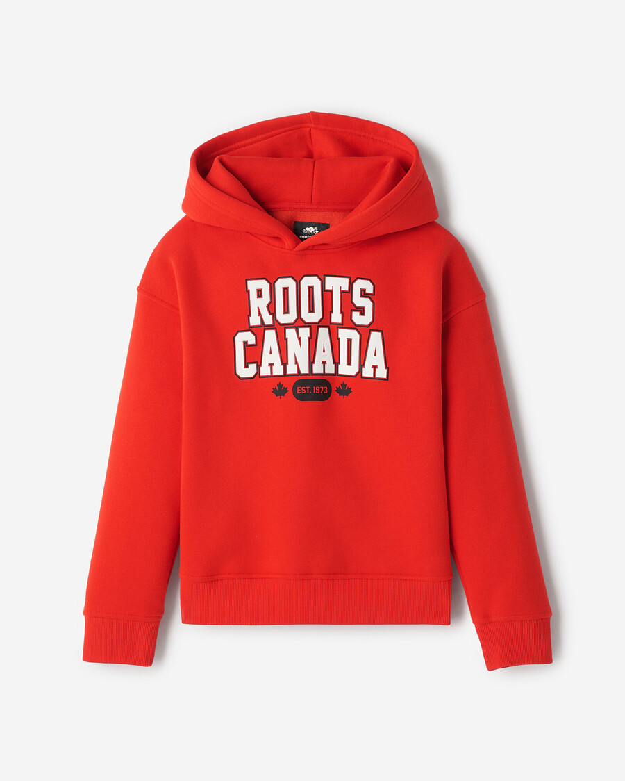 barn northern roots hoodie