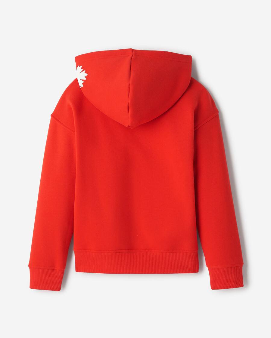 barn northern roots hoodie