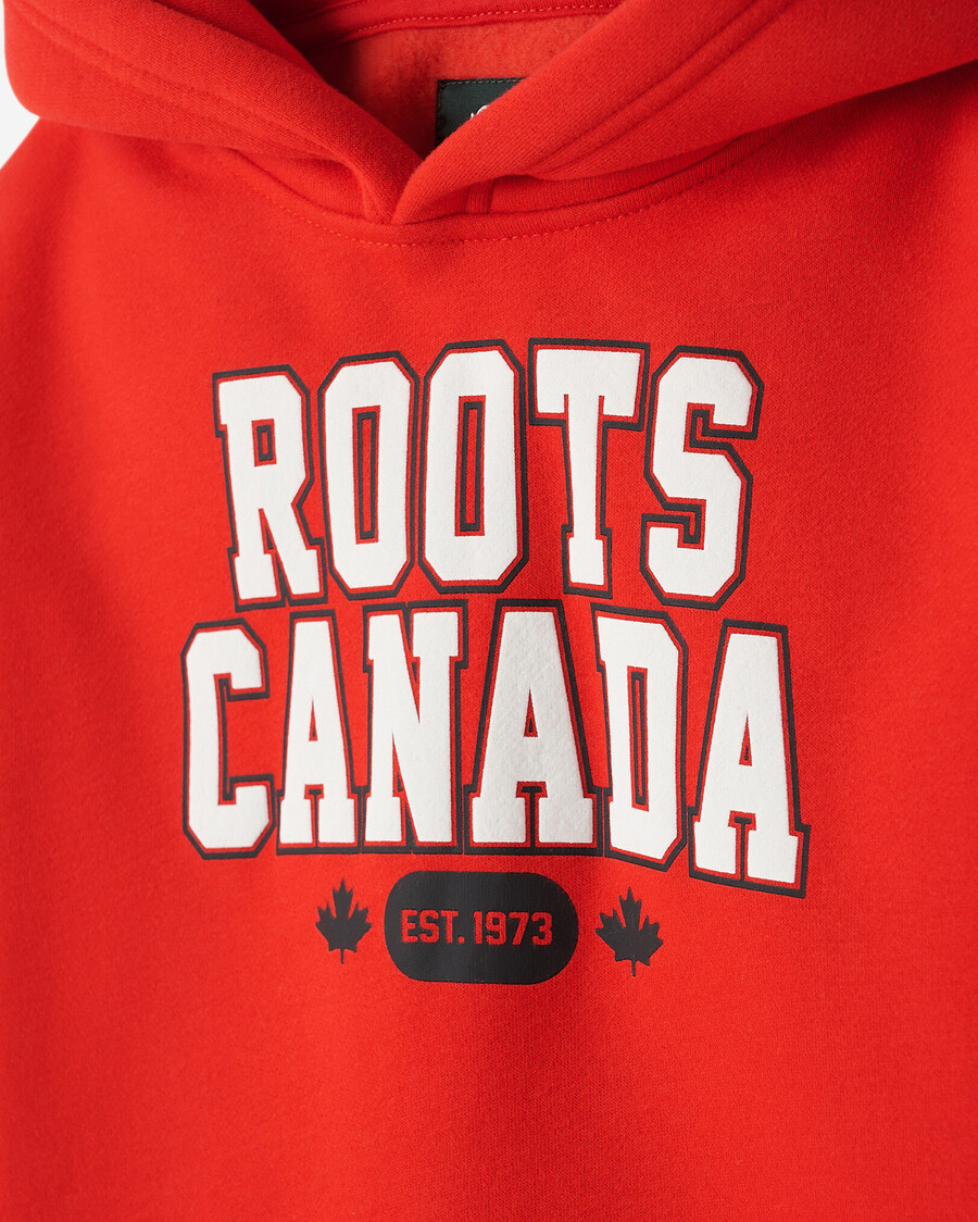 barn northern roots hoodie